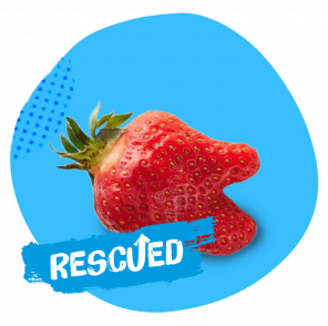 No_To_Food_Waste_Rescued